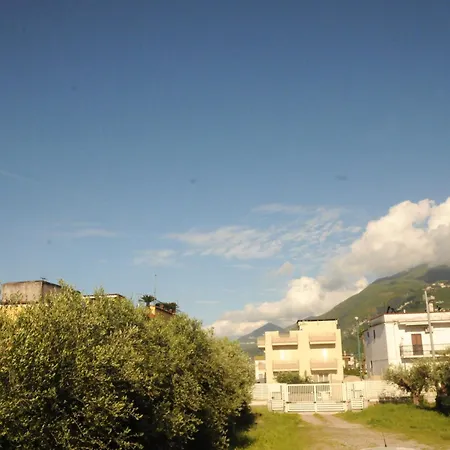 Fiorenza *
